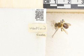 Media type: image;   Entomology 770254 Aspect: Labels